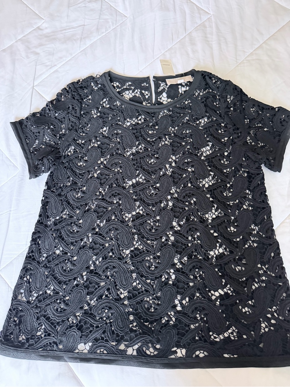Loft Womens Black Lace Overlay Short Sleeve Top